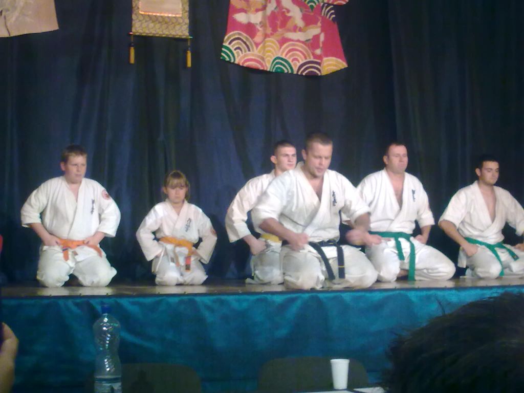 Japan Fest 2 (Volf): Karate kyokushin