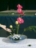 Ikebana
