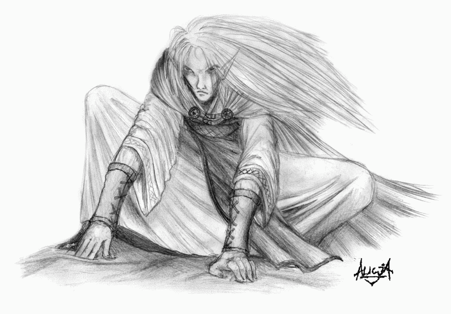 Shinaya Yasanafar: Elvish_Warrior