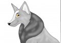 Mariko 3 - Gray She-Wolf