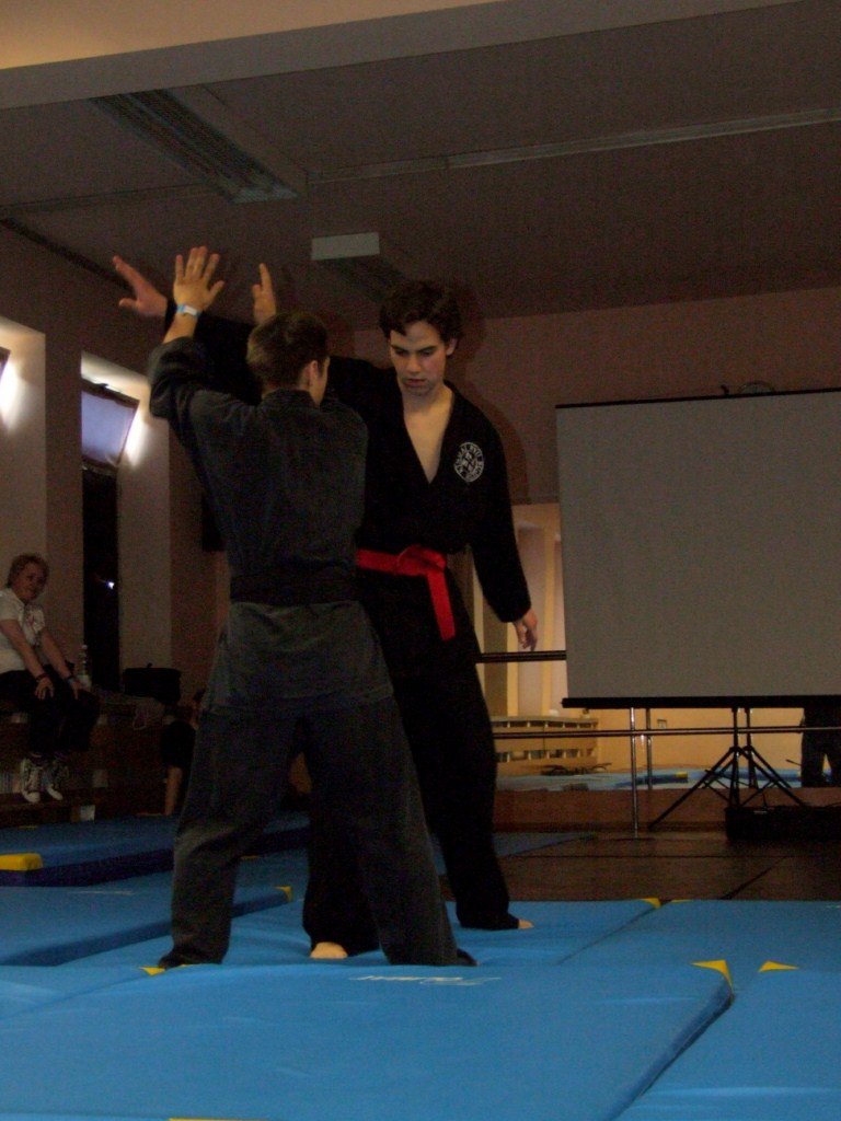 MAGNIFIcon VIII (Echiko; Isshi; Ryuuga; Yae&Bubel): Warsztaty Ju-jitsu