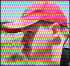 Joe