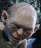nugae